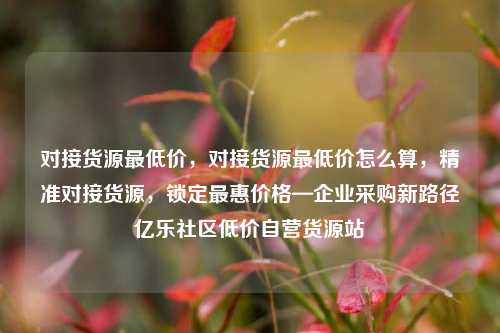 对接货源最低价	，对接货源最低价怎么算，精准对接货源，锁定最惠价格—企业采购新路径亿乐社区低价自营货源站  第1张