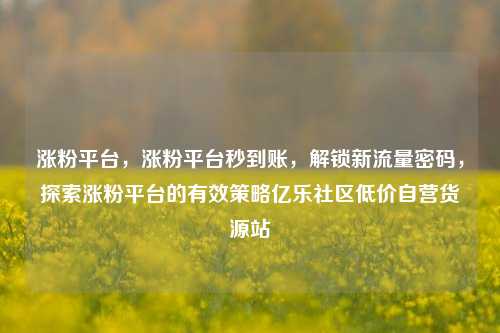 涨粉平台，涨粉平台秒到账	，解锁新流量密码，探索涨粉平台的有效策略亿乐社区低价自营货源站  第1张