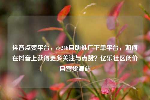 抖音点赞平台，dy24h自助推广下单平台，如何在抖音上获得更多关注与点赞？亿乐社区低价自营货源站  第1张