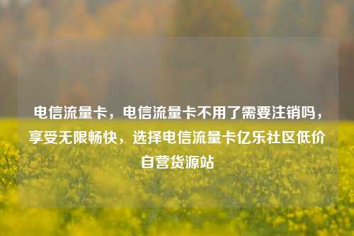 电信流量卡，电信流量卡不用了需要注销吗，享受无限畅快	，选择电信流量卡亿乐社区低价自营货源站  第1张