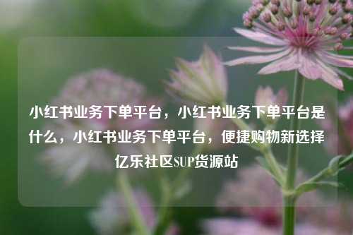 小红书业务下单平台	，小红书业务下单平台是什么，小红书业务下单平台，便捷购物新选择亿乐社区SUP货源站  第1张